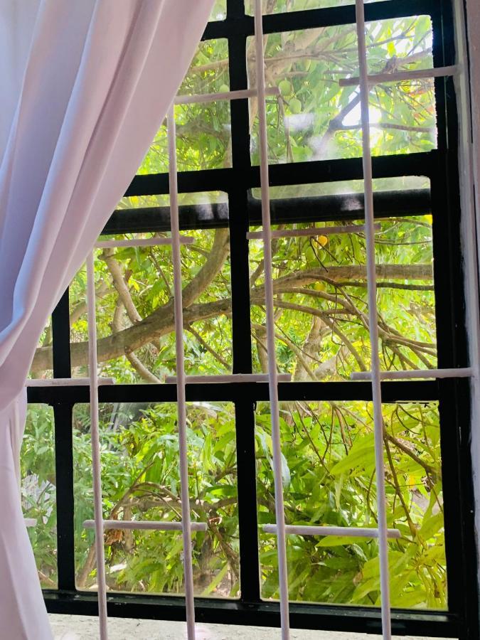 Ocean View Apartments 布里奇敦 外观 照片